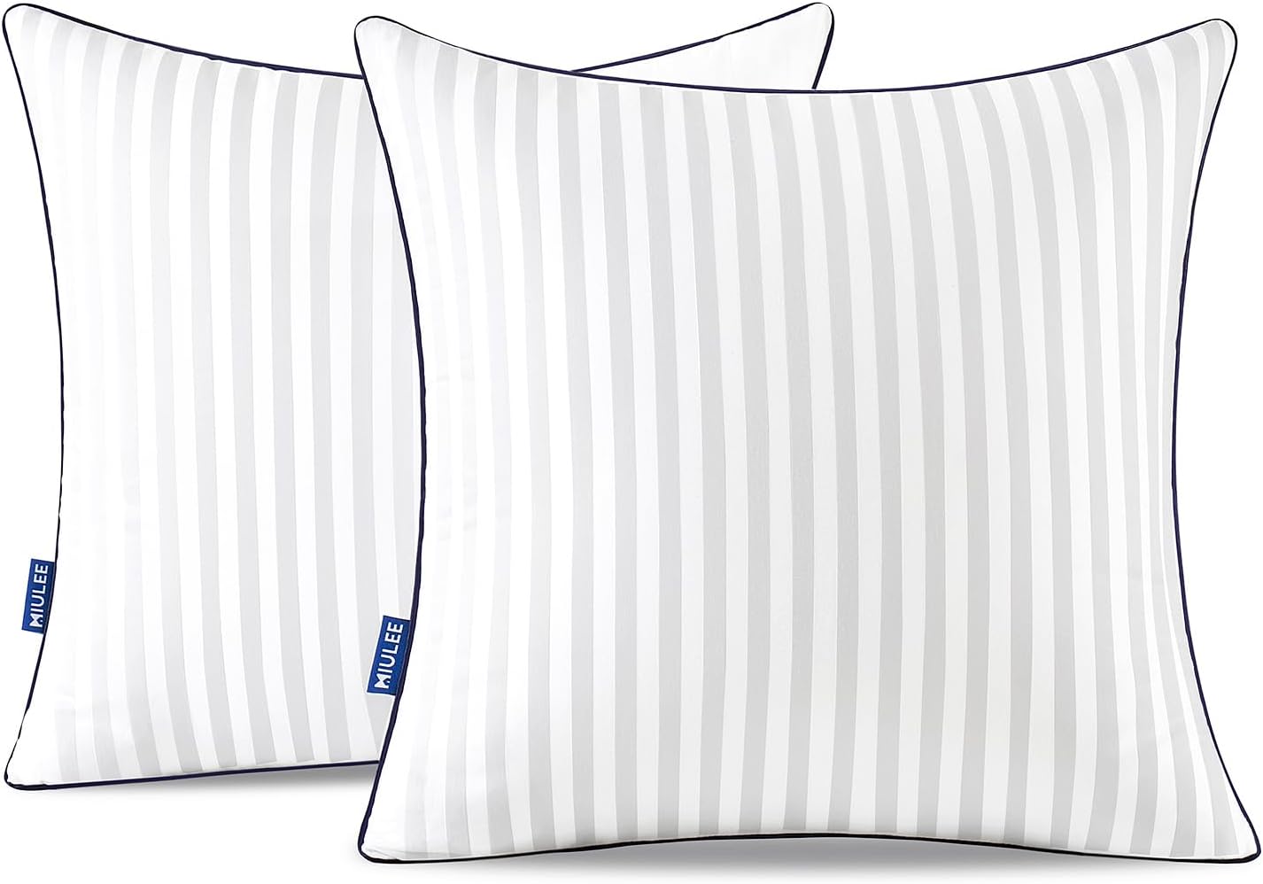 Dluxe Ave. 20x20 Throw Pillow Inserts/ Set of 2/ Decorative Bed Firm and Fluffy Down