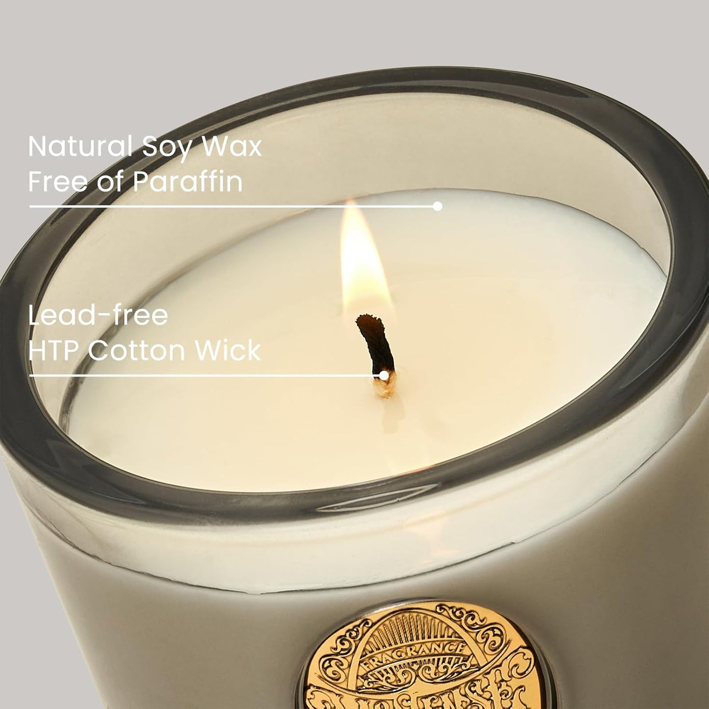 Dluxe Ave. Natural Soy Wax Coconut Scented Aromatherapy Candle, 9.2 oz / 50 Hours Burn Time (Grey)