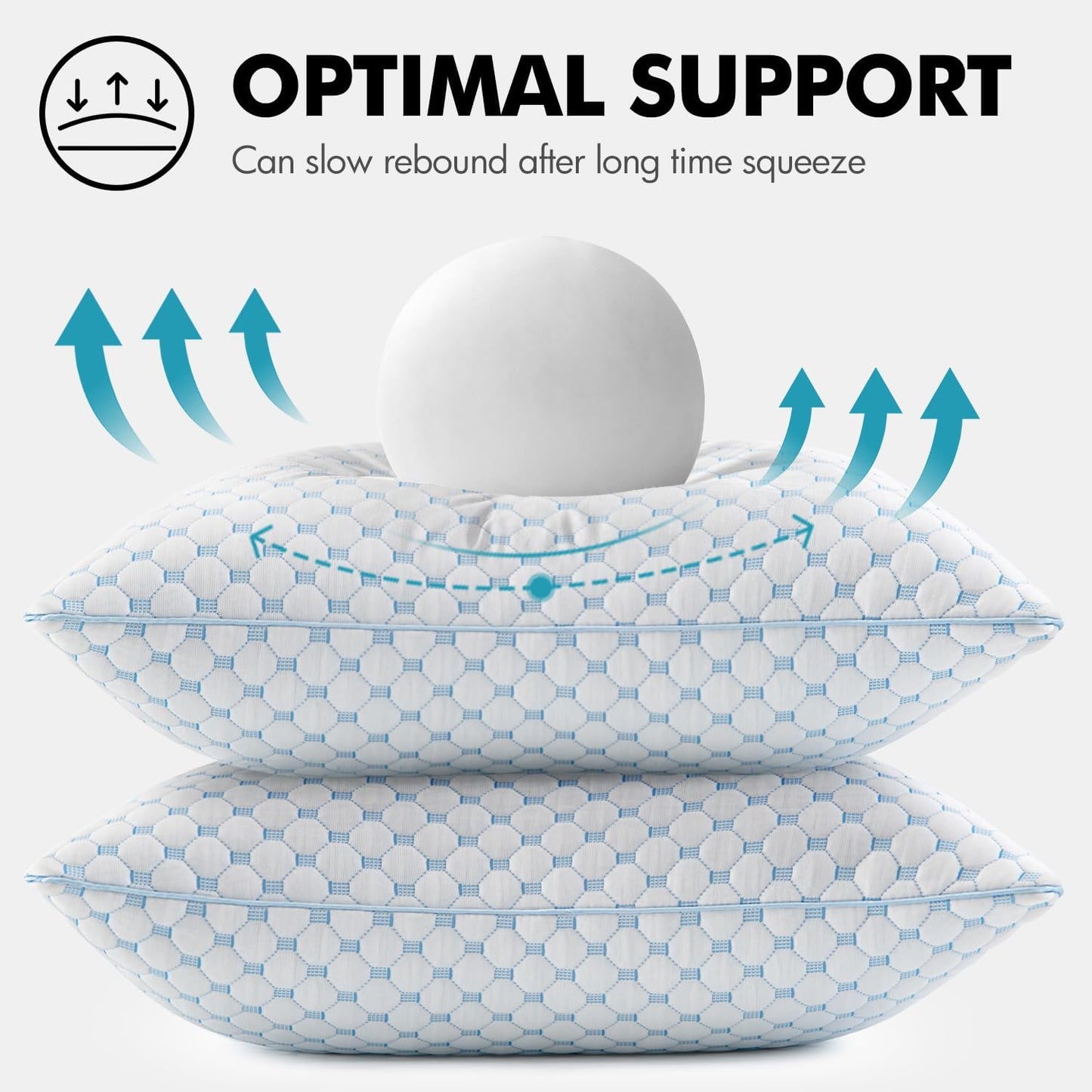 Dluxe Ave. 24x24 Pillow Inserts/ Set of 2/ Decorative