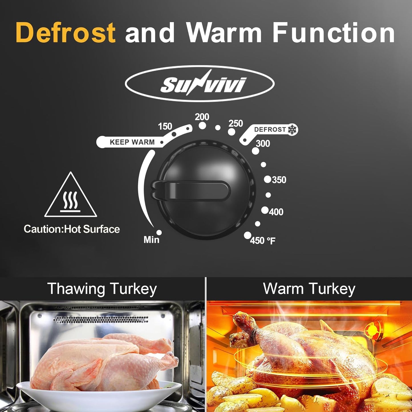 Dluxe Ave. 14-Quart Roaster Oven with Self-Basting Lid / Removable Pan and Rack, Stainless Steel, Black