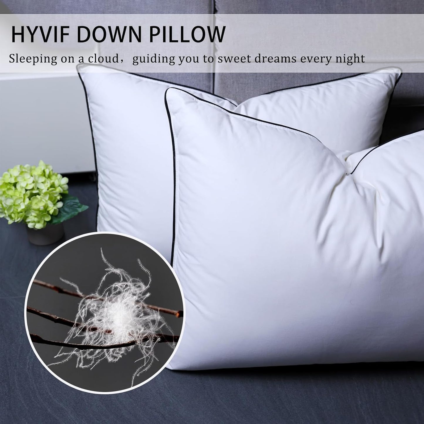 Dluxe Ave. ( STANDARD) Goose Down Pillow, Set of 2,  Luxury Hotel Quality (20 x 26”)