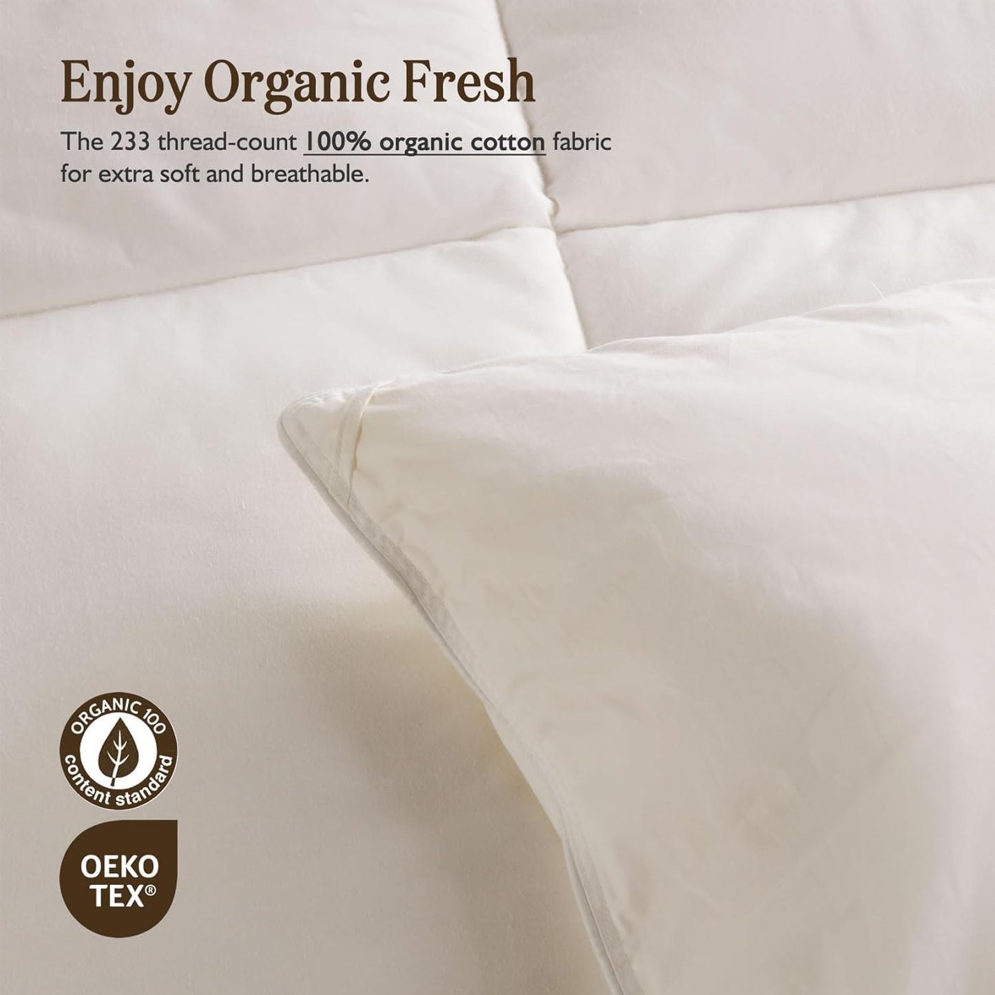 Dluxe Ave. ( QUEEN ) Feather Down Fibers Comforter, Oversized Luxury, All Season Duvet Insert with Feather Down/ White