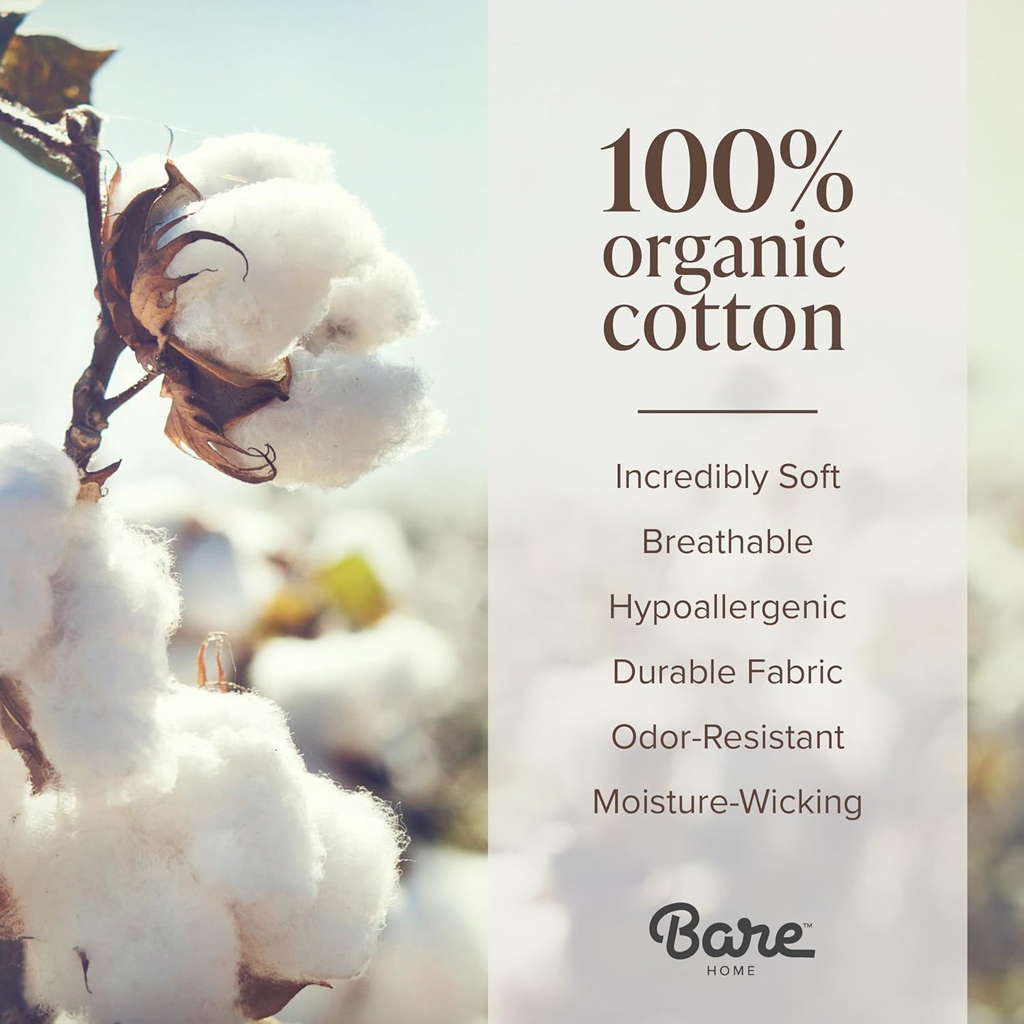 Dluxe Ave. ( QUEEN ) 100% Organic Cotton Jersey Sheet Set, Ultra Soft,  Light Grey
