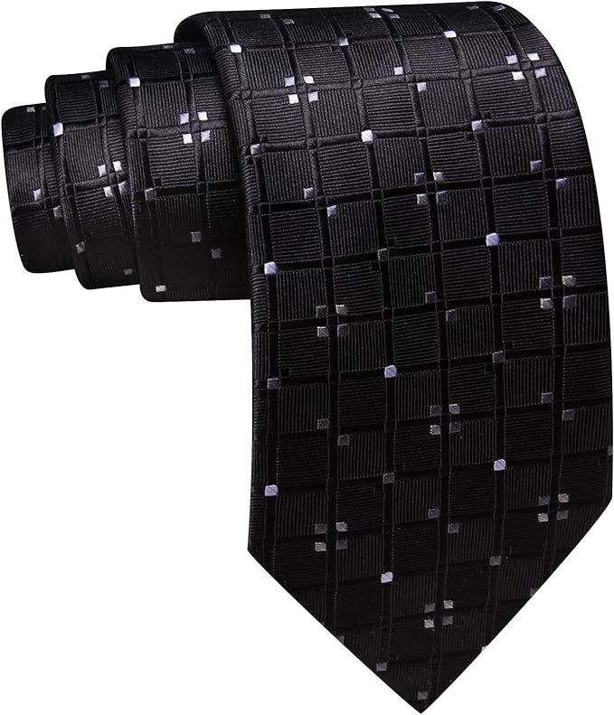 Dluxe Ave.  Black Ties for Men Silk Plaid Necktie and Tie Clip Polka Dot Tie