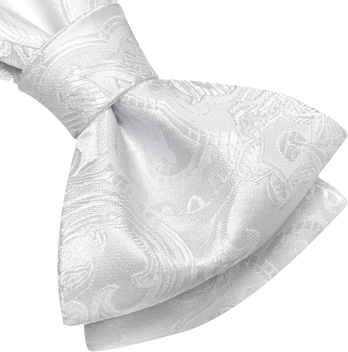 Dluxe Ave. Mens Paisley Flroal Bow Ties and Lapel Pin Set Self Tie Bowties for Men Pocket Square Cufflinks