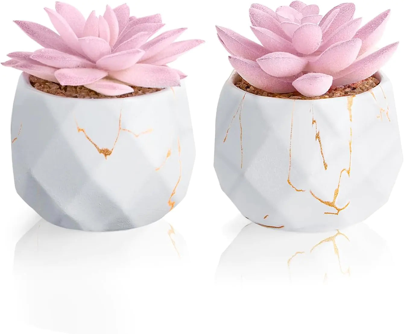 Dluxe Ave. ZENIDA Artificial Succulent Plants in 2 White Ceramic Pots Cute Fake Plants for Bathroom Bedroom Shelves