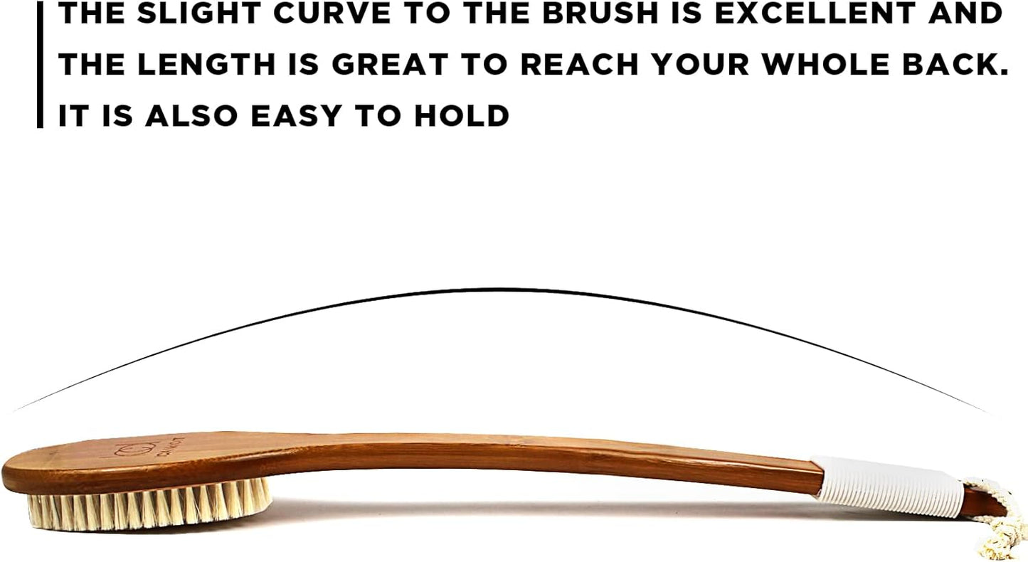 Dluxe Ave. 19.68Inch Natural Boar Bristles, Anti-Slip Extra Long Handle  (1 Pack)