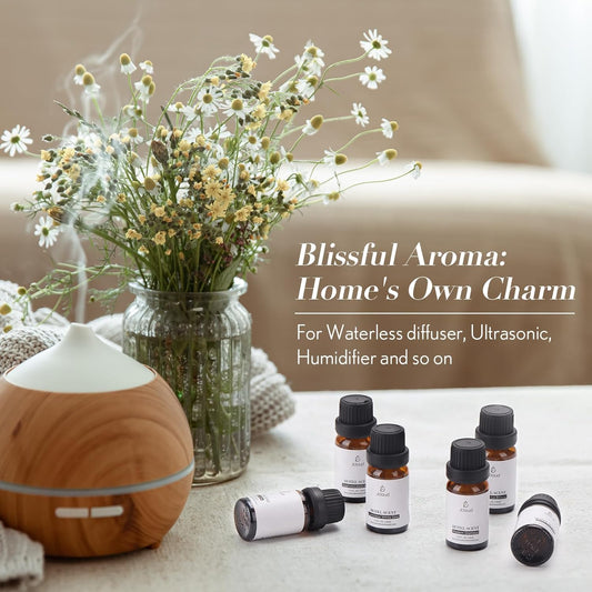 Dluxe Ave.  6 Luxury Hotel Inspired Essential Oils/ Pure Aromatherapy Diffuser / 6x10mL