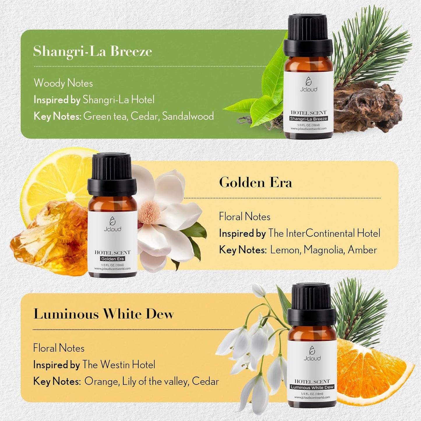 Dluxe Ave.  6 Luxury Hotel Inspired Essential Oils/ Pure Aromatherapy Diffuser / 6x10mL