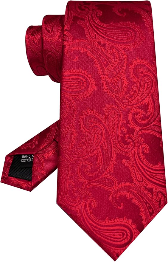 Dluxe Ave. Mens Red Paisley Tie Necktie and Pocket Square with Lapel PinCufflinksTie Clip Sets 5PCS