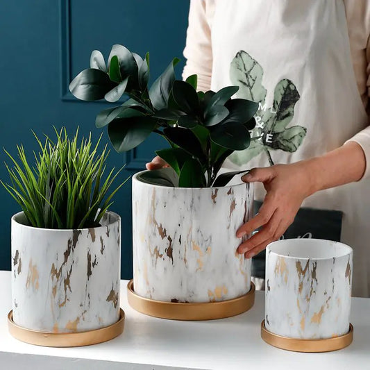 Dluxe Ave. European Style Cement Flower Pot with Ceramic Gold