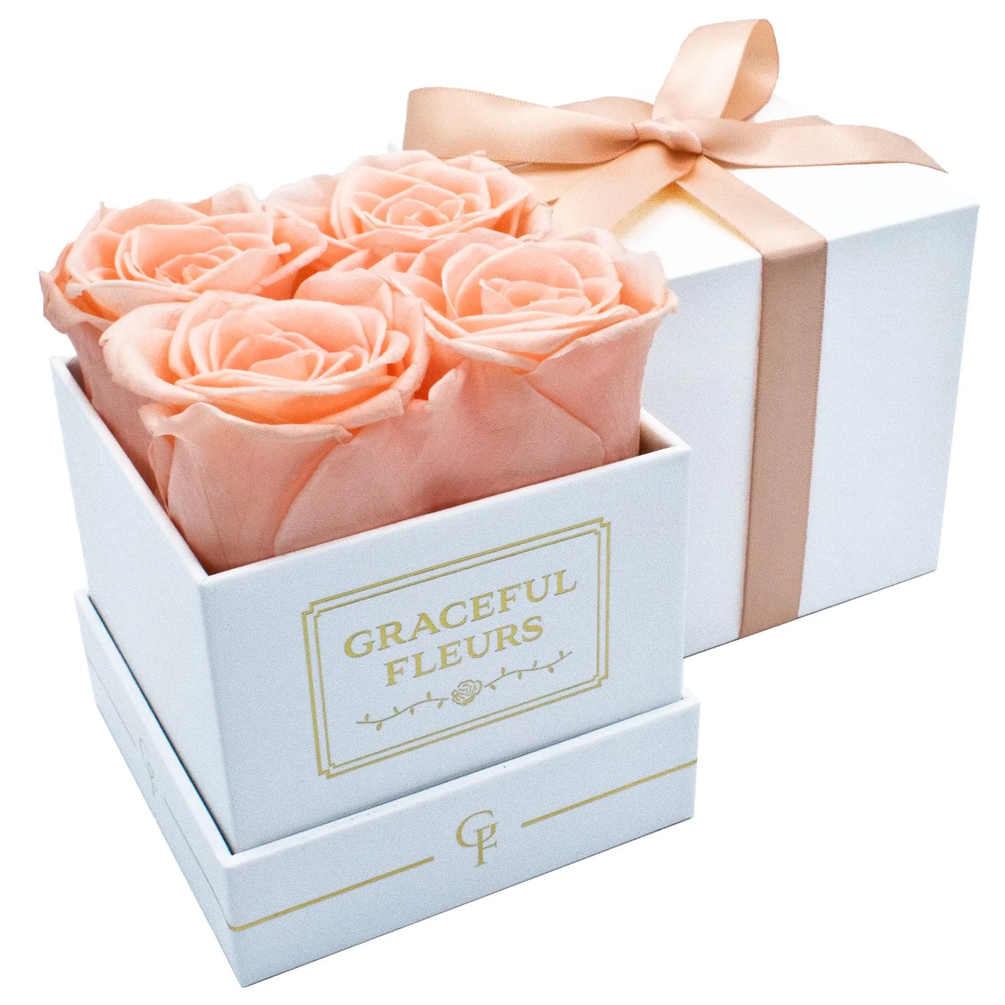 Dluxe Ave. Graceful Fleurs | Real Roses That Lasts for Years | Preserved Fresh Flowers for Delivery Birthday | Forever Roses in a Box | Valentines Day Gifts for Her (Light Peach White Box 4 Roses)