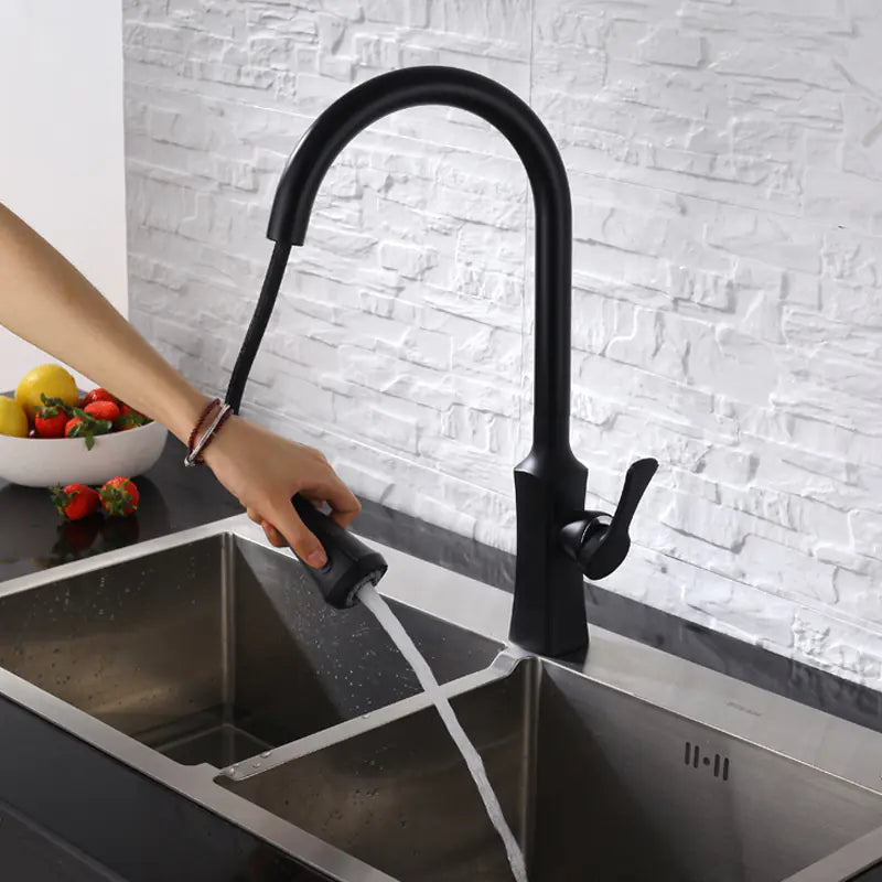 Dluxe Ave. Black Pull-Out Rotating Sink Faucet for Hot and Cold Water