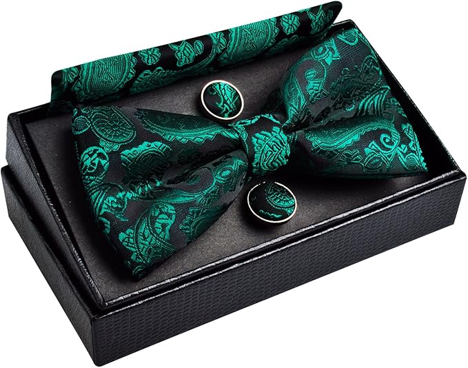 Dluxe Ave. Men’s Classic Paisley Pre-Tied Bowtie Pocket Square and Cufflinks