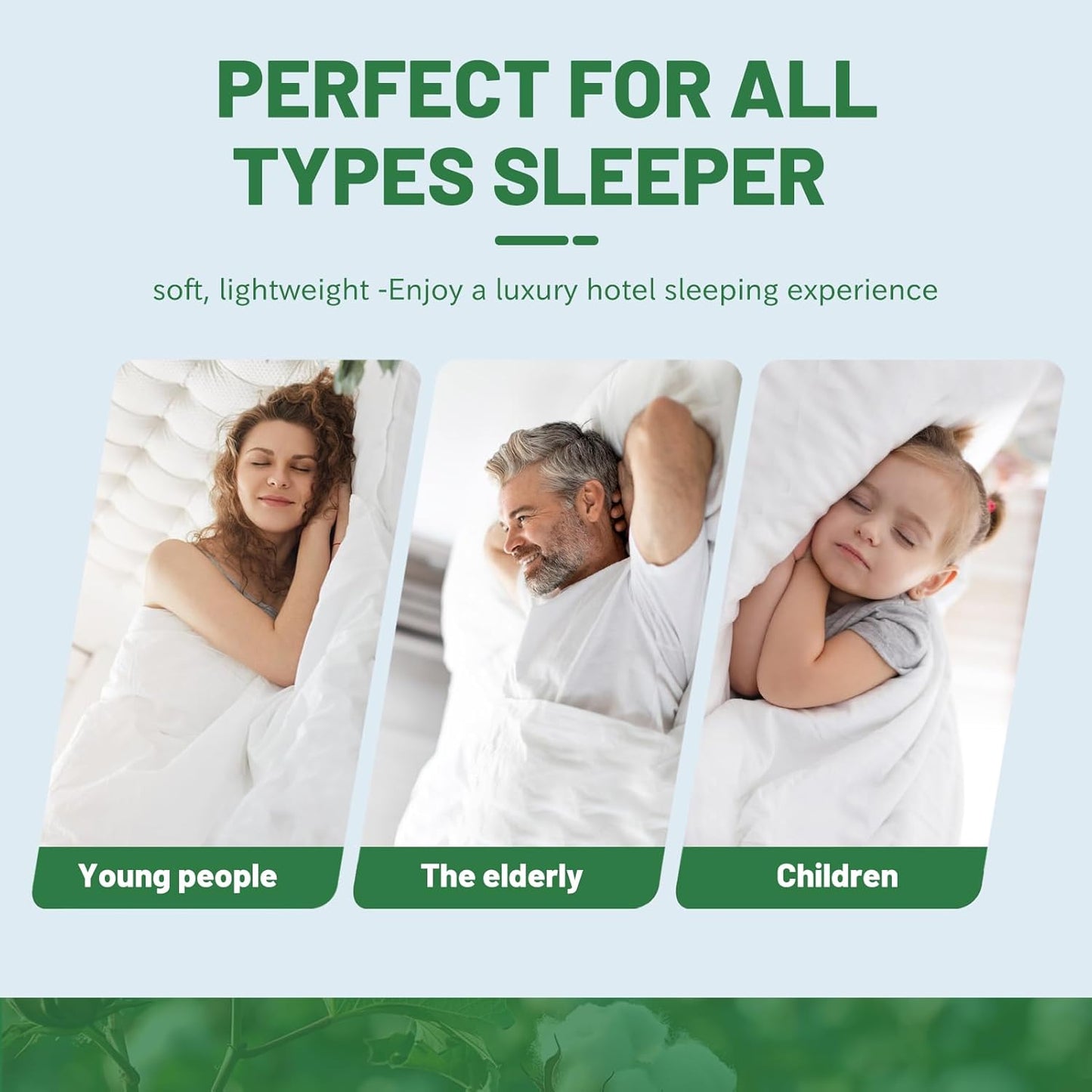 Dluxe Ave. ( QUEEN ) 4 Pcs Egyptian Cotton Sheets/ 800 Thread Count/16 Inch Deep Pocket/ Sage Green