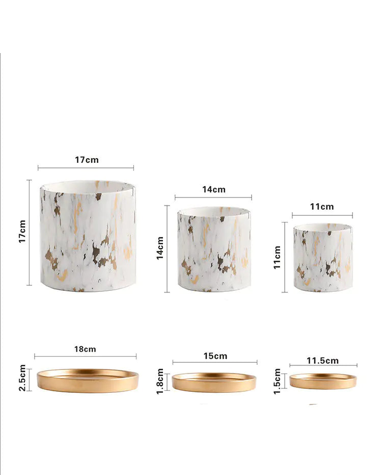 Dluxe Ave. European Style Cement Flower Pot with Ceramic Gold