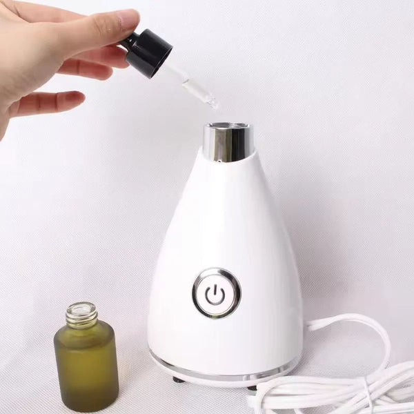Dluxe Ave. Portable Facial Steamer