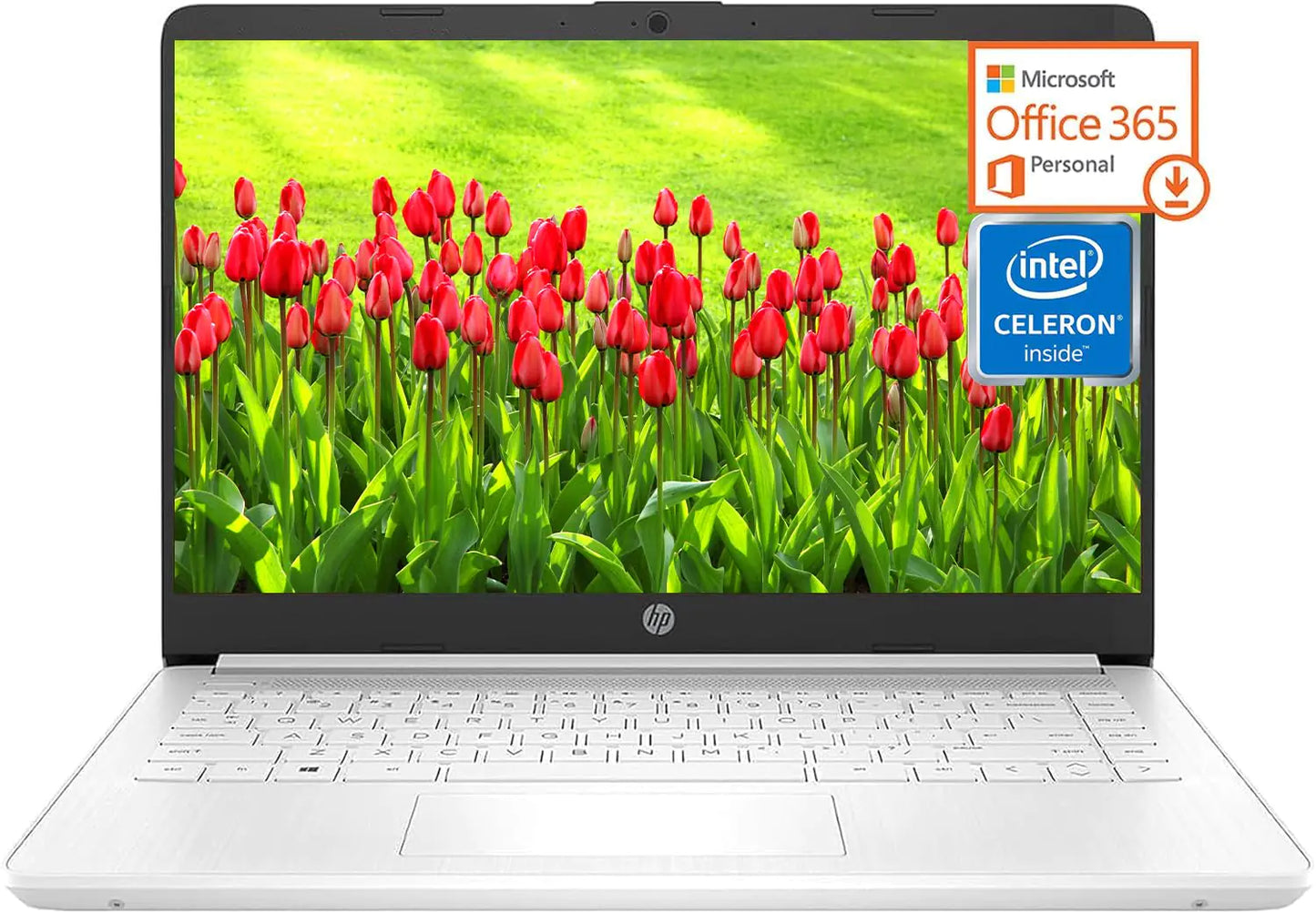 Dluxe Ave. HP Stream 14 Inch Laptop 2023 Ultra Thin and Light Laptop Intel Celeron N4120 16GB RAM 320GB Storage (64GB eMMC+256GB MSD) 1-Year Office 365