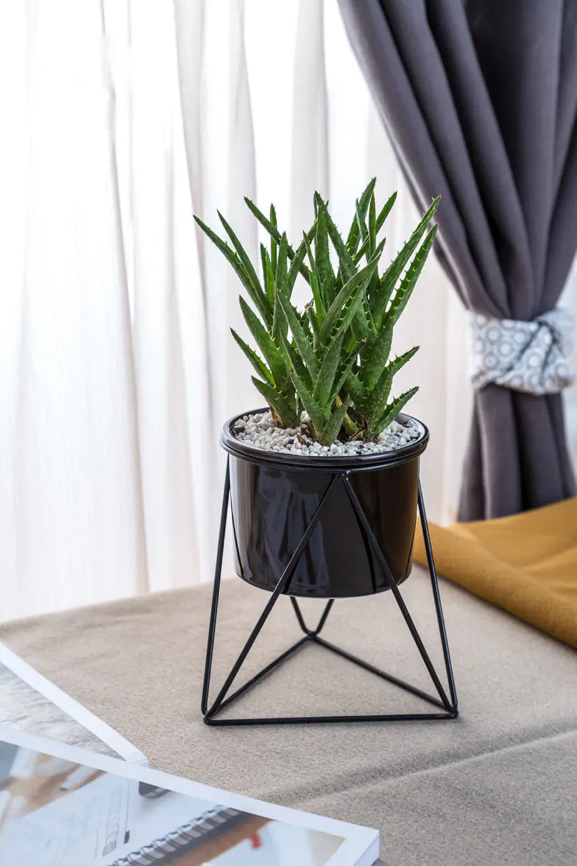 Dluxe Ave. Nordic Triangle Ceramic Planter with Iron Stand Set