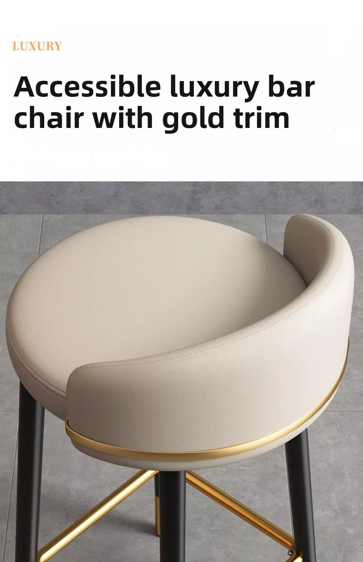 Dluxe Ave. Modern Metal Bar Stool with Backrest