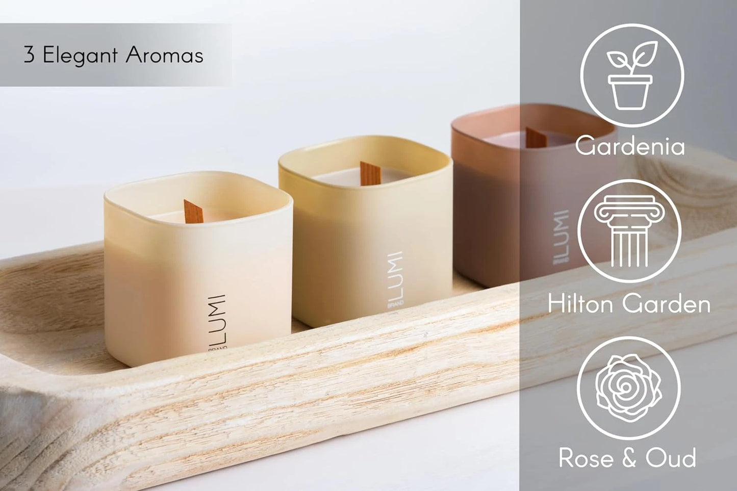 Dluxe Ave. Set of 3 Scented Soy Candles/ Gardenia Hilton Garden and Rose & Oud/ Burn 50+HR 9.8oz