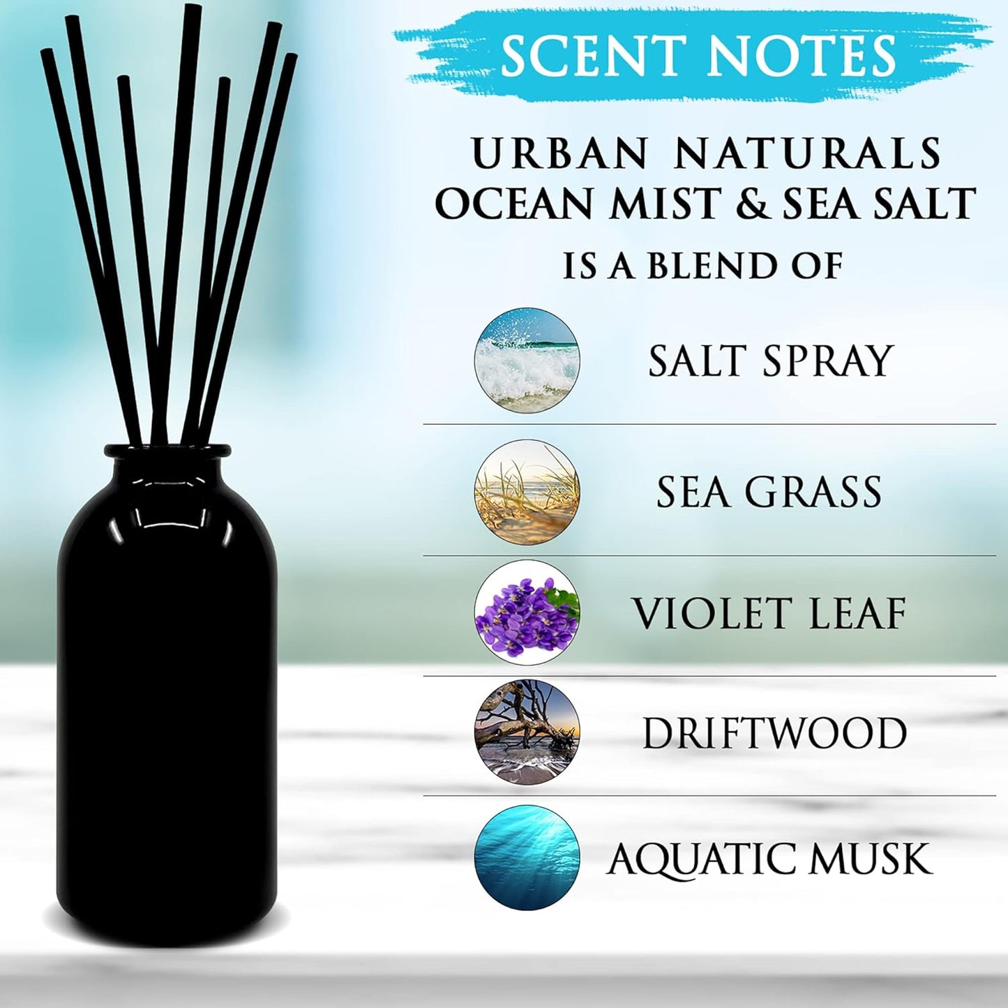 Dluxe Ave. Black Dice Reed Diffuser Set/ Masculine Blend of Citrus Lavender Woods & Musk