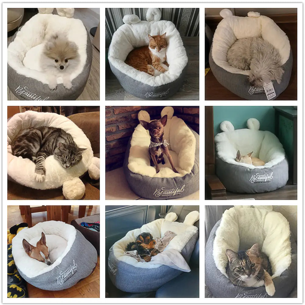 Dluxe Ave. Universal Summer Cat Bed for Ragdoll and Kittens (Grey M Out of Stock 52*52*32 CM)