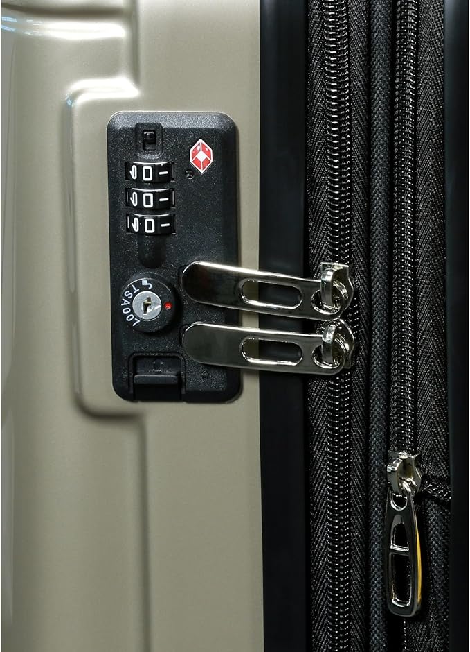 Dluxe Ave. Lightweight Polycarbonate Hardside Expandable/ Spinner Wheels/ TSA Lock/ (Champagne) 2-Pcs Set(20in24in)