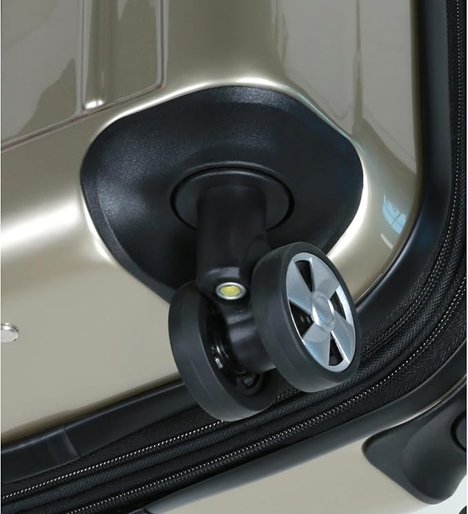 Dluxe Ave. Lightweight Polycarbonate Hardside Expandable/ Spinner Wheels/ TSA Lock/ (Champagne) 2-Pcs Set(20in24in)