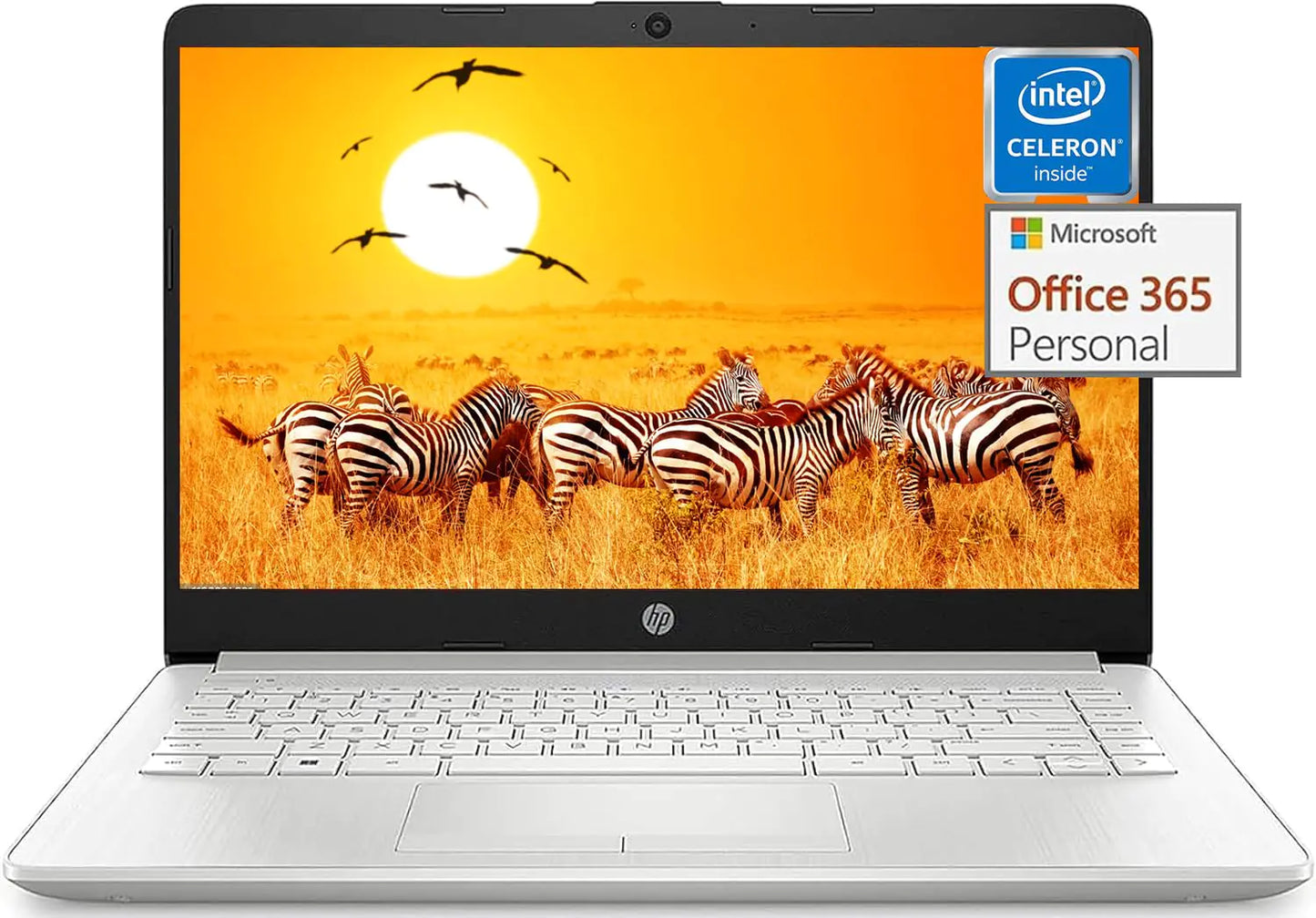 Dluxe Ave. HP Stream 14 Inch Laptop Ultra Thin and Light Laptop Intel Celeron N4120 16GB RAM 320B Storage (64GB eMMC+256GB 1-Year Office 365