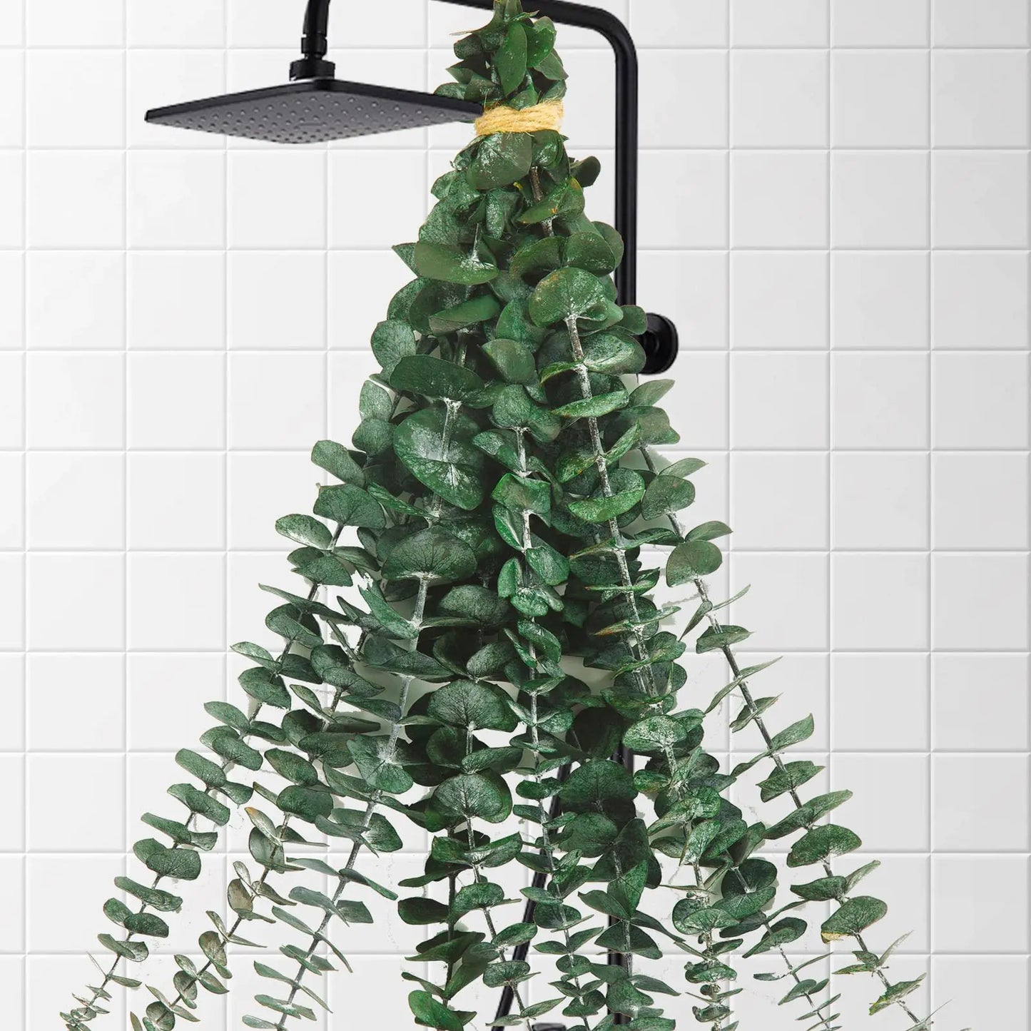 Dluxe Ave. 10 Pcs Dried Eucalyptus Stems for Shower