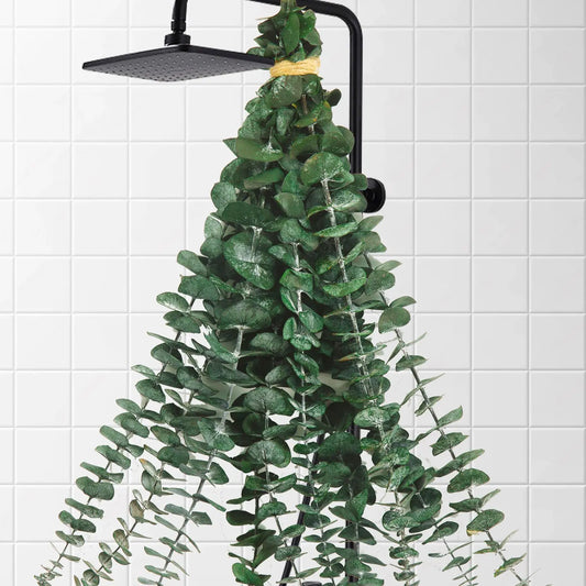 Dluxe Ave. 10 Pcs Dried Eucalyptus Stems for Shower