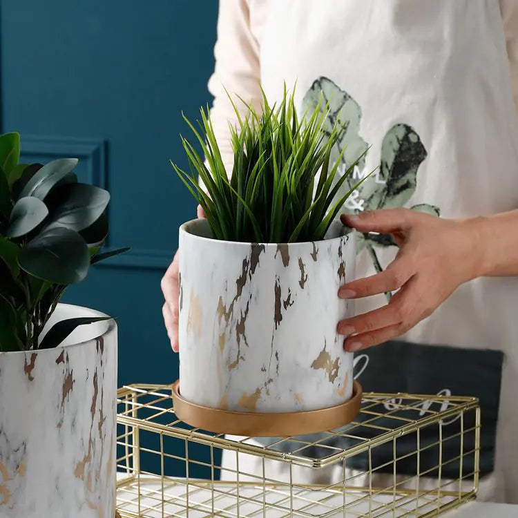 Dluxe Ave. European Style Cement Flower Pot with Ceramic Gold