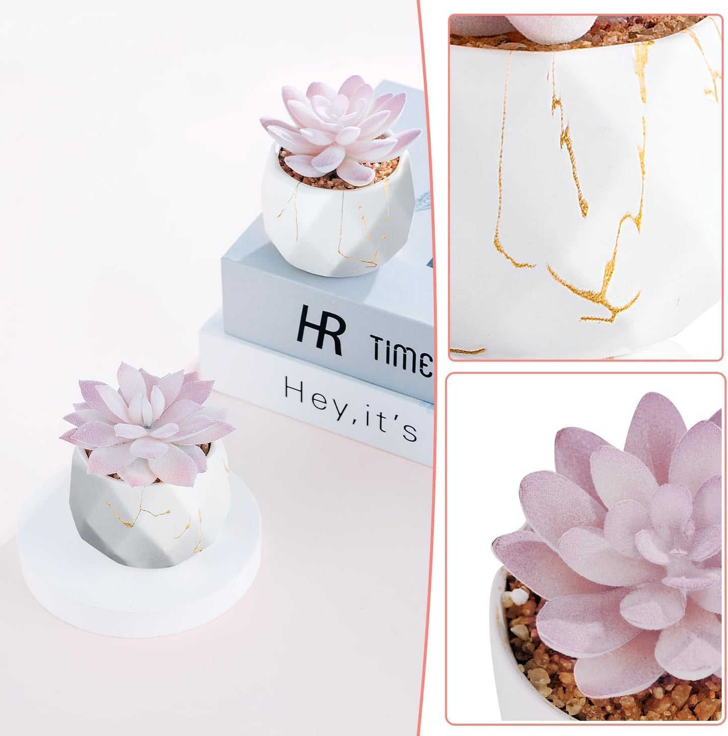 Dluxe Ave. ZENIDA Artificial Succulent Plants in 2 White Ceramic Pots Cute Fake Plants for Bathroom Bedroom Shelves
