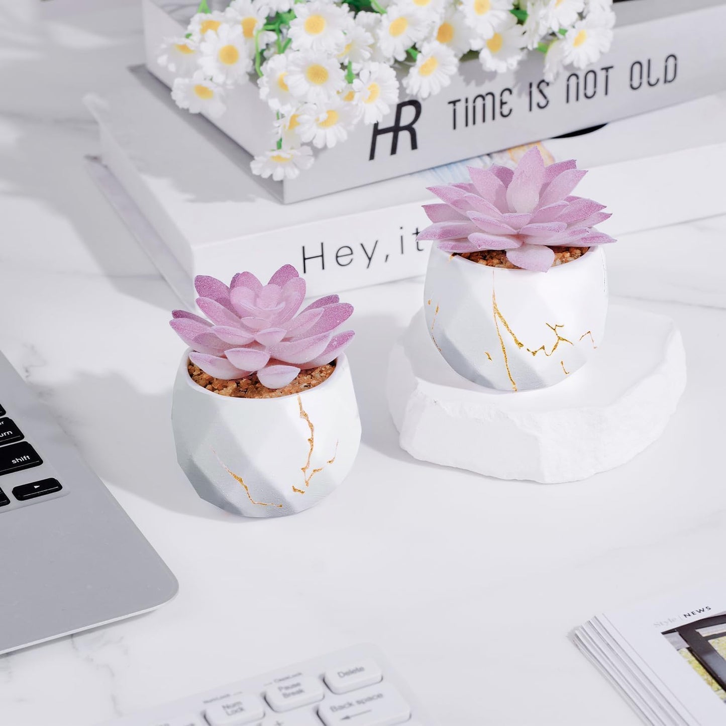 Dluxe Ave. ZENIDA Artificial Succulent Plants in 2 White Ceramic Pots Cute Fake Plants for Bathroom Bedroom Shelves