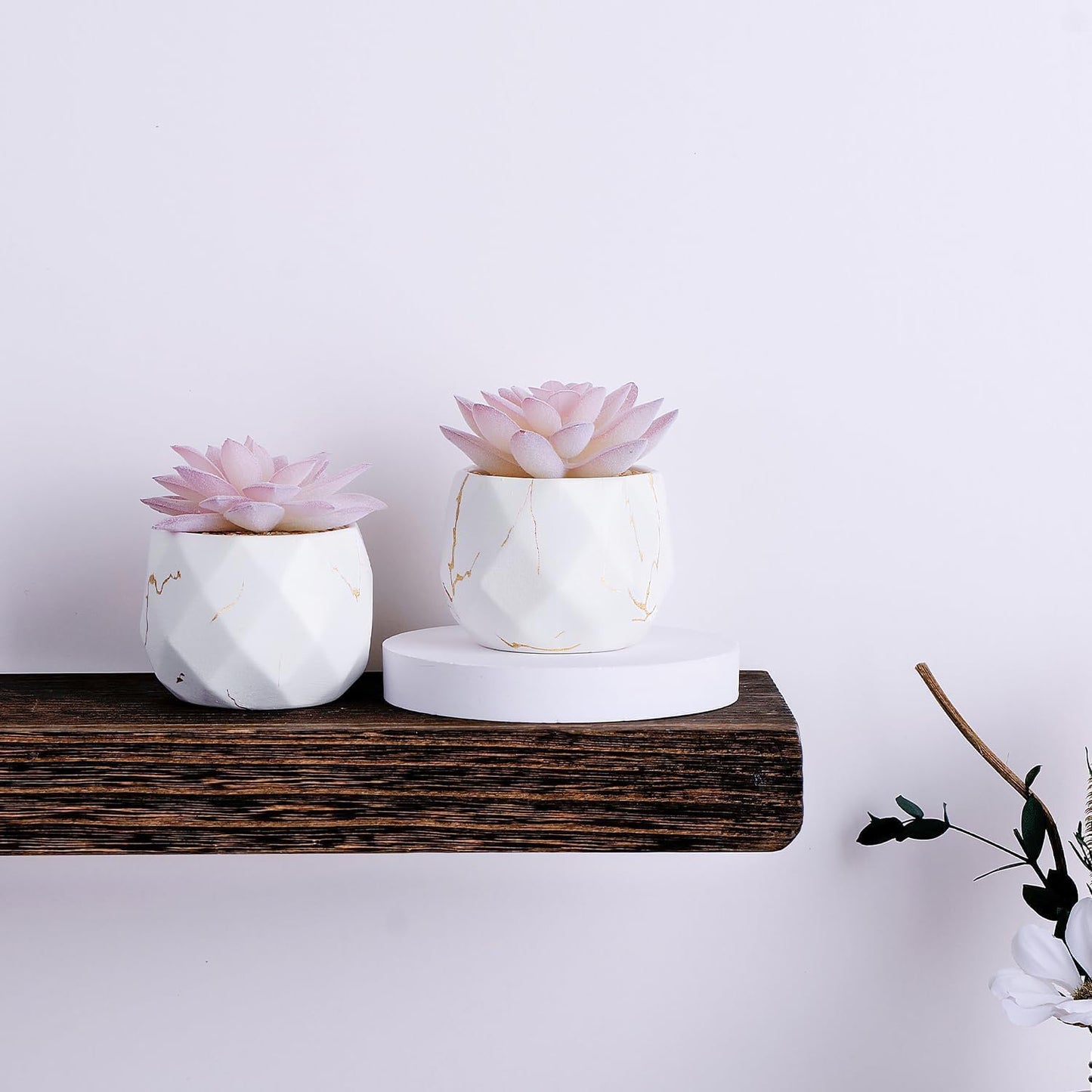 Dluxe Ave. ZENIDA Artificial Succulent Plants in 2 White Ceramic Pots Cute Fake Plants for Bathroom Bedroom Shelves
