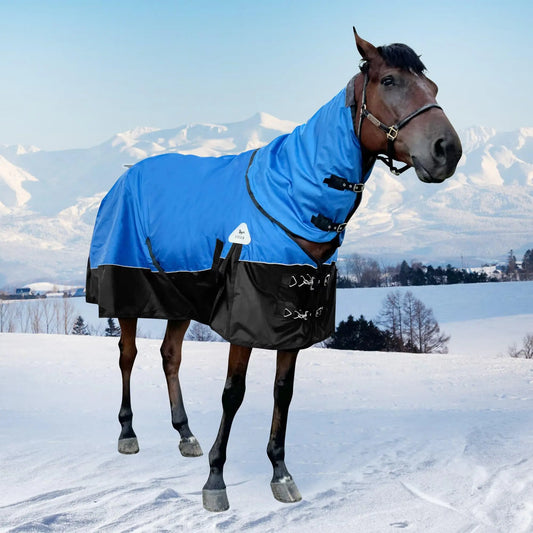 Dluxe Ave. 1680 D Horse Blanket Horse Turnout Blanket with Detachable Neck Cover 400g Filling Thicken Horse Sheet Waterproof Snow Proof Blanket for Horse