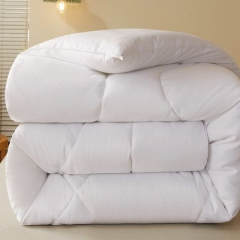 Thickened Winter White Duvet Insert