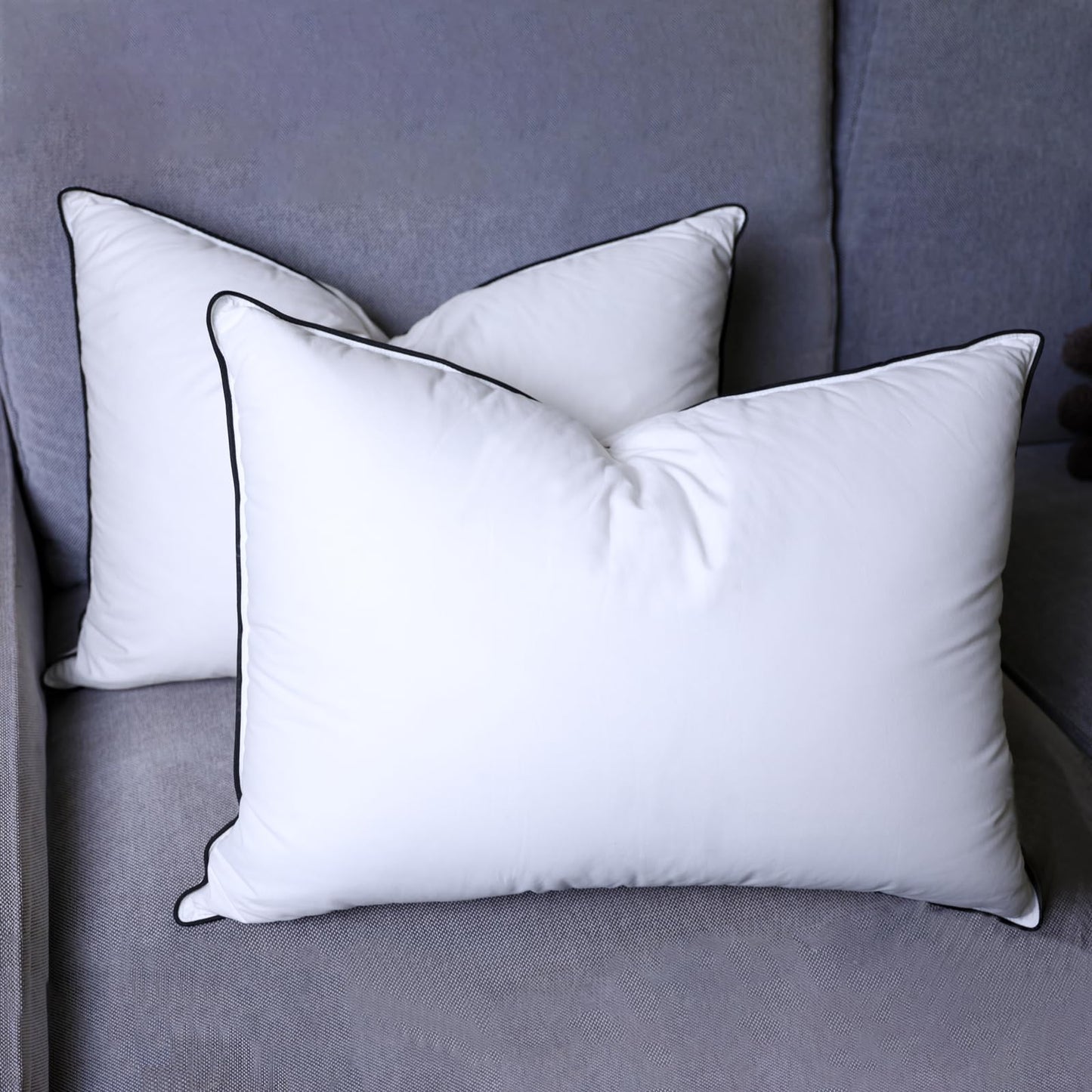 Dluxe Ave. ( STANDARD) Goose Down Pillow, Set of 2,  Luxury Hotel Quality (20 x 26”)