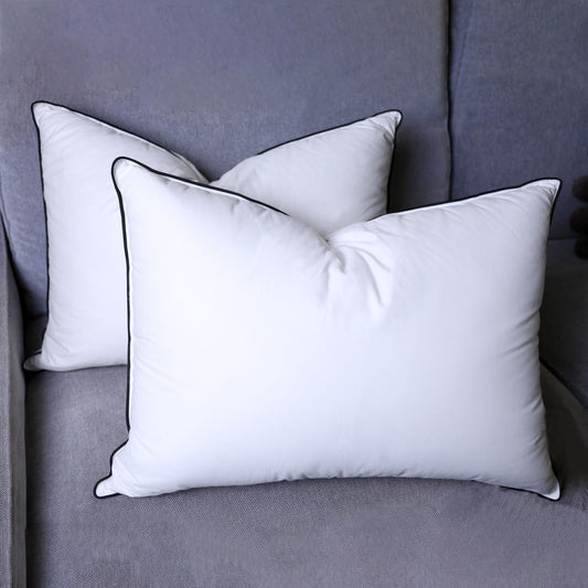 Dluxe Ave. ( STANDARD) Goose Down Pillow, Set of 2,  Luxury Hotel Quality (20 x 26”)