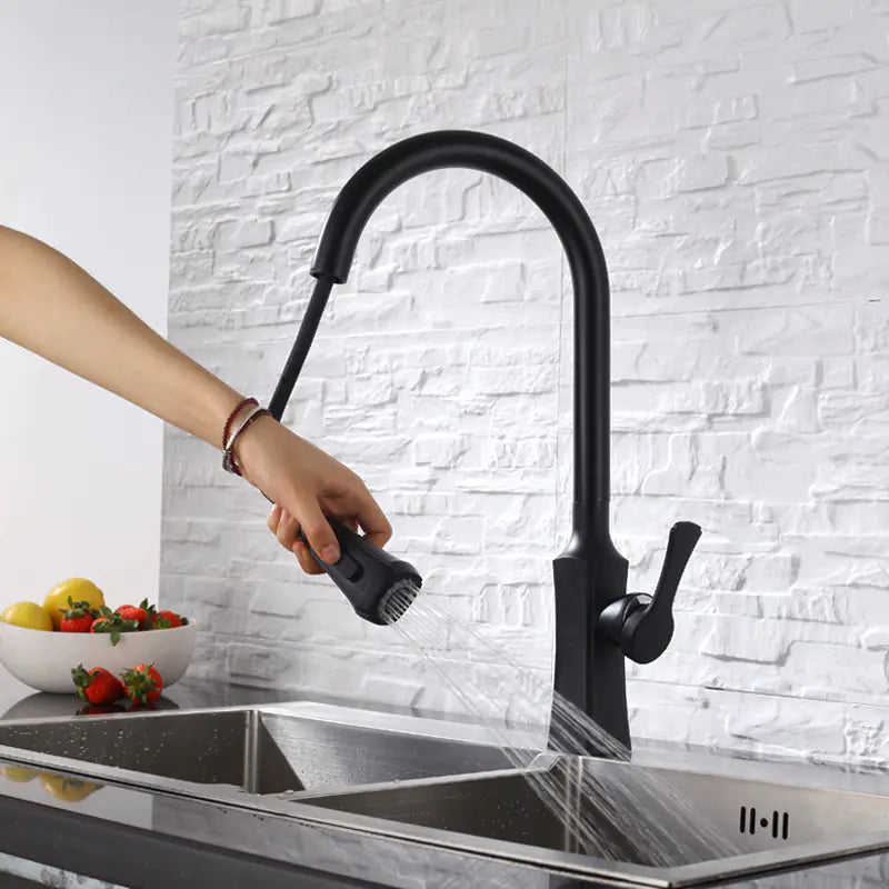 Dluxe Ave. Black Pull-Out Rotating Sink Faucet for Hot and Cold Water
