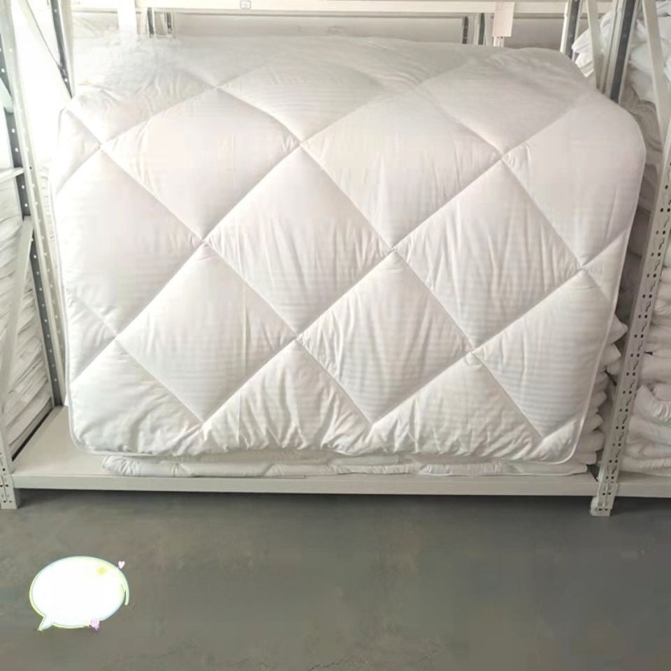 Thickened Winter White Duvet Insert