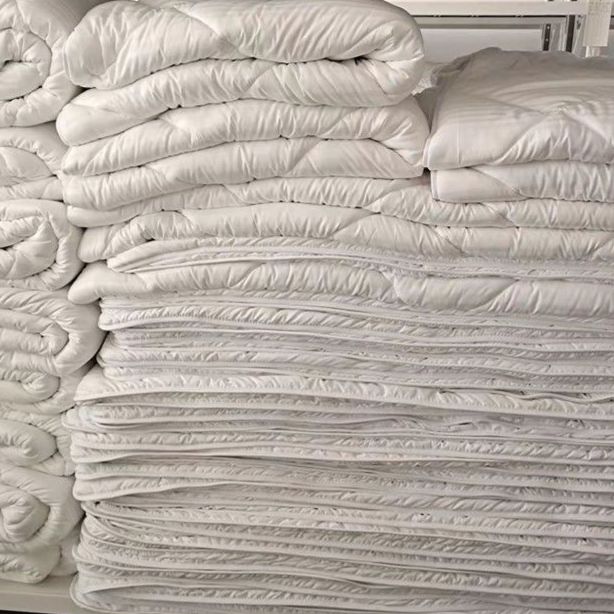 Thickened Winter White Duvet Insert