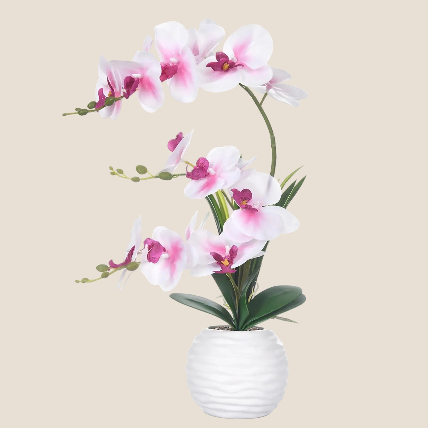 Dluxe Ave. FuleHouzz Artificial Orchids in Vase Faux Real Touch Orchid Flowers in Pot Fake Phalaenopsis Potted with Ceramic Vase for Home Office Wedding Table Decoration White and Pink
