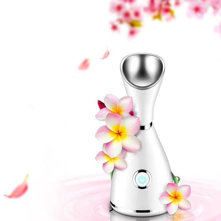 Dluxe Ave. Portable Facial Steamer