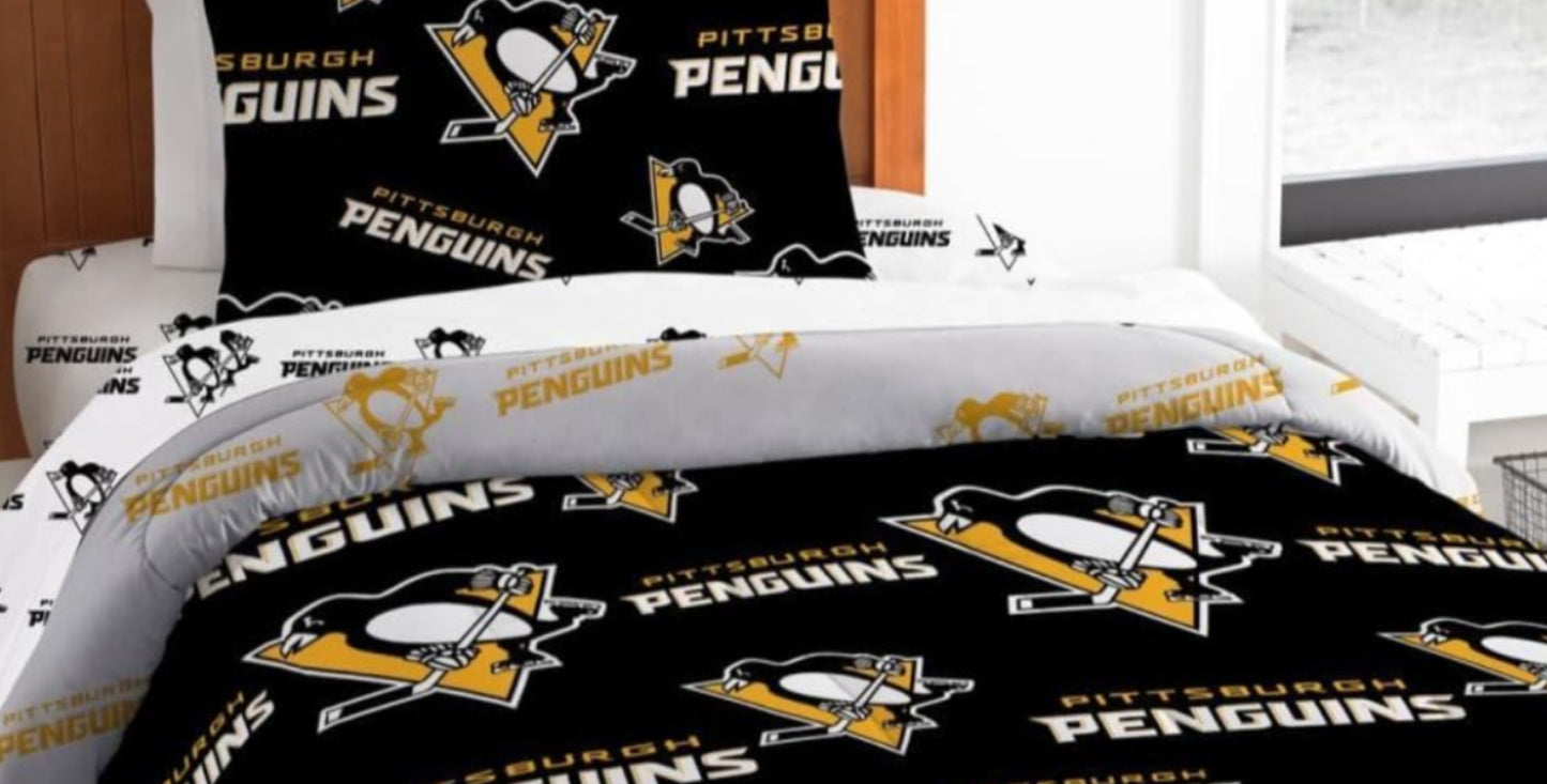 Dluxe Ave. ( TWIN )  NFL 4 Pcs Comforter Set