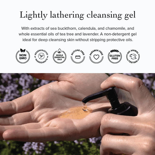 Dluxe Ave. Evanhealy Tea Tree Gel Cleansing Gel with Organic Lavender