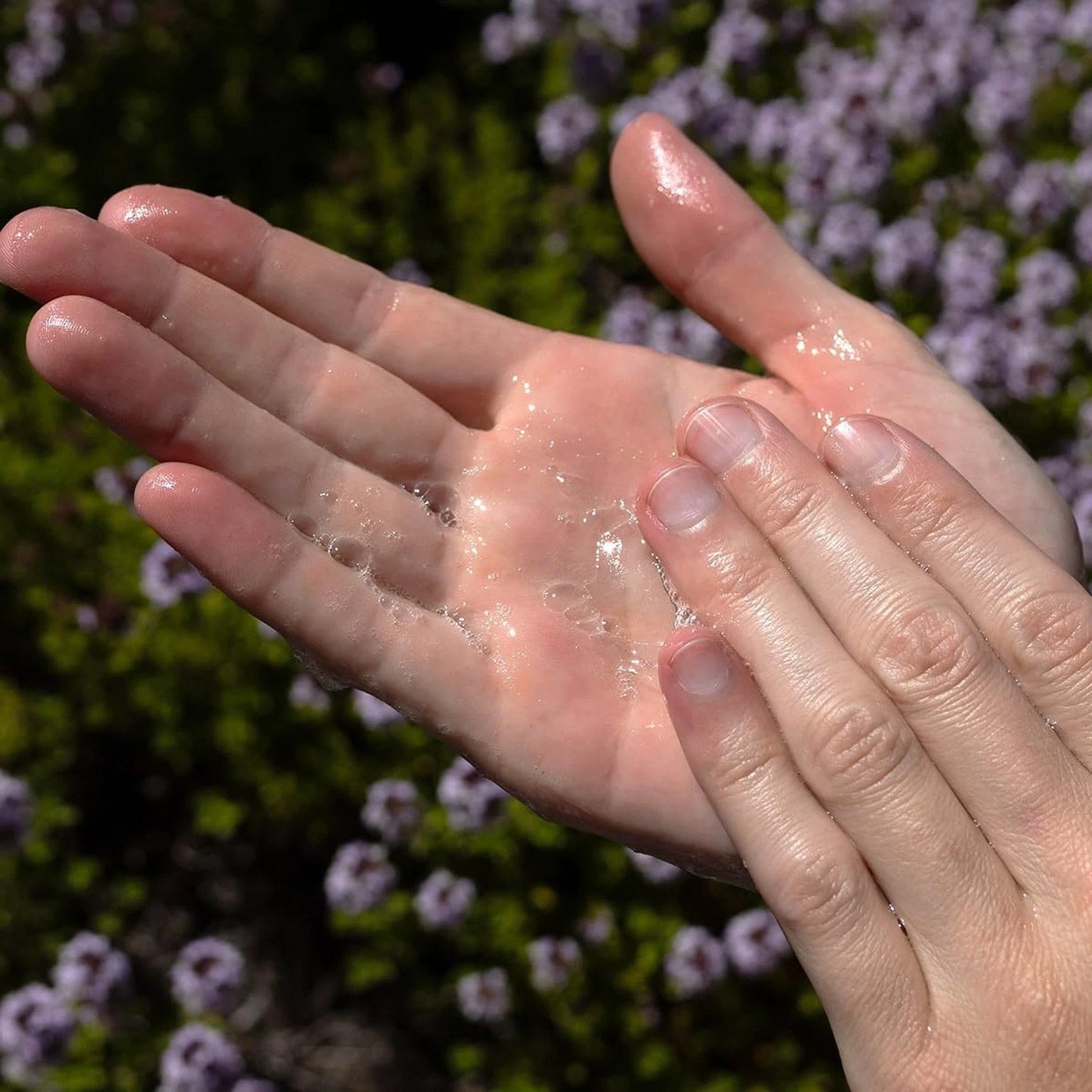 Dluxe Ave. Evanhealy Tea Tree Gel Cleansing Gel with Organic Lavender