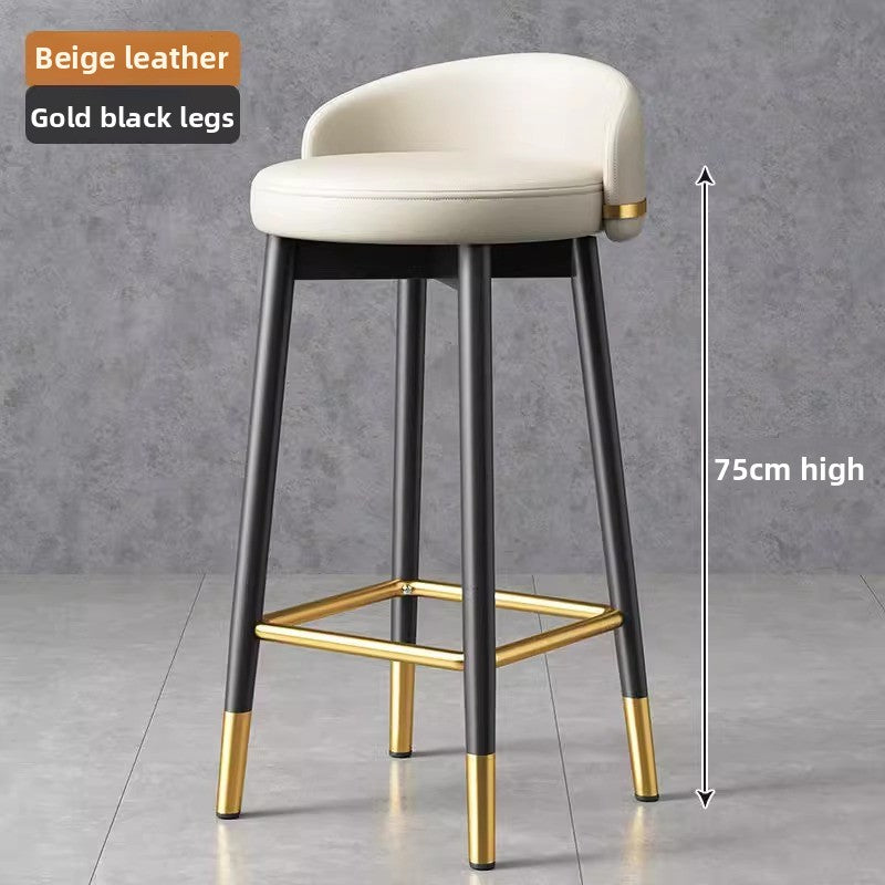 Modern Metal Bar Stool with Backrest