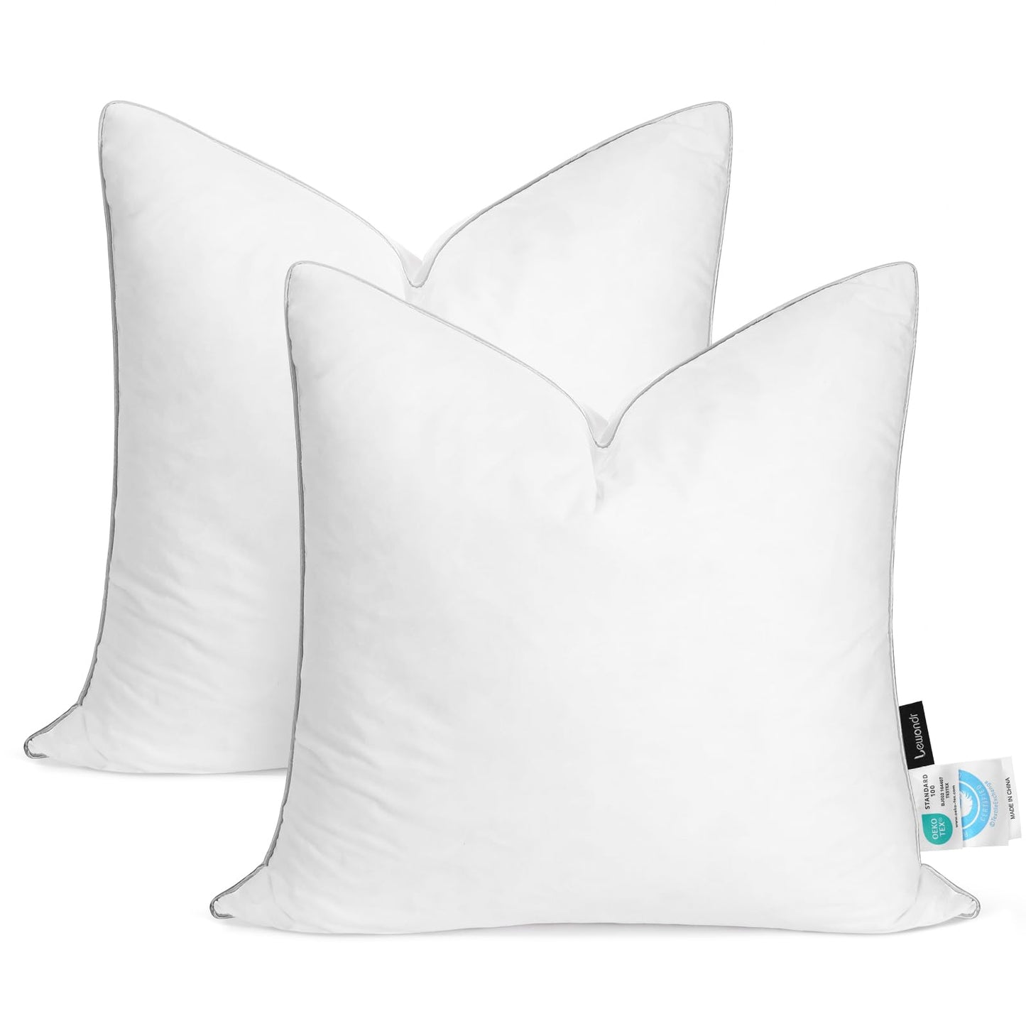 Dluxe Ave. 22x22 inch Pillow Insert Set of 2/ 100% Down & Feather/ Premium Soft Fluffy/ White